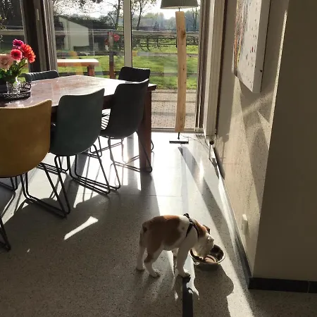 Vakantiehuis Naanhover Beemden